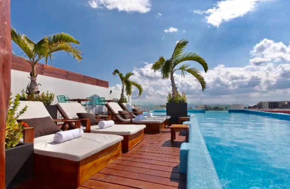 Trendy Designer Apartment In The 5Th Avenue Playa del Carmen